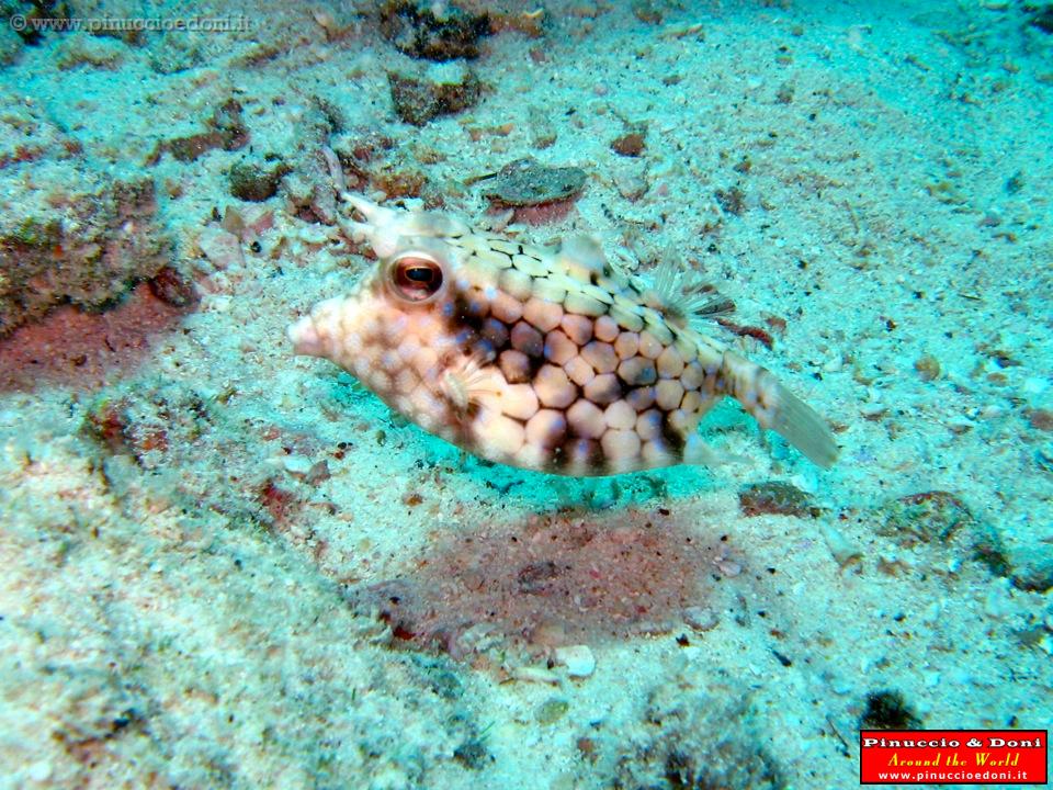 SEYCHELLES - 239.jpg